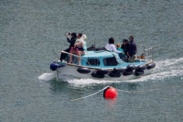 17 May 2020 - 11-35-23 
It'll never sink. It's overladen. Overladen with fenders.
----------------------------
Motor boat Edna Jo in Dartmouth harbour